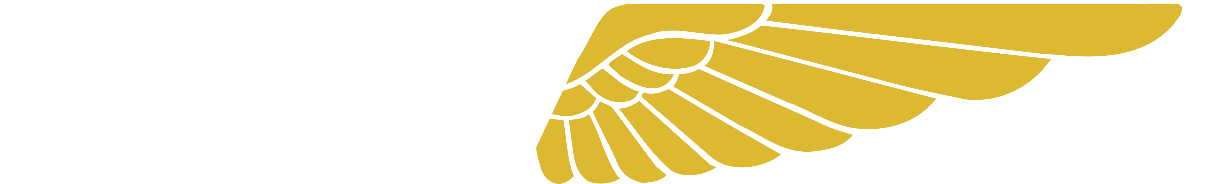Airborne Systems
